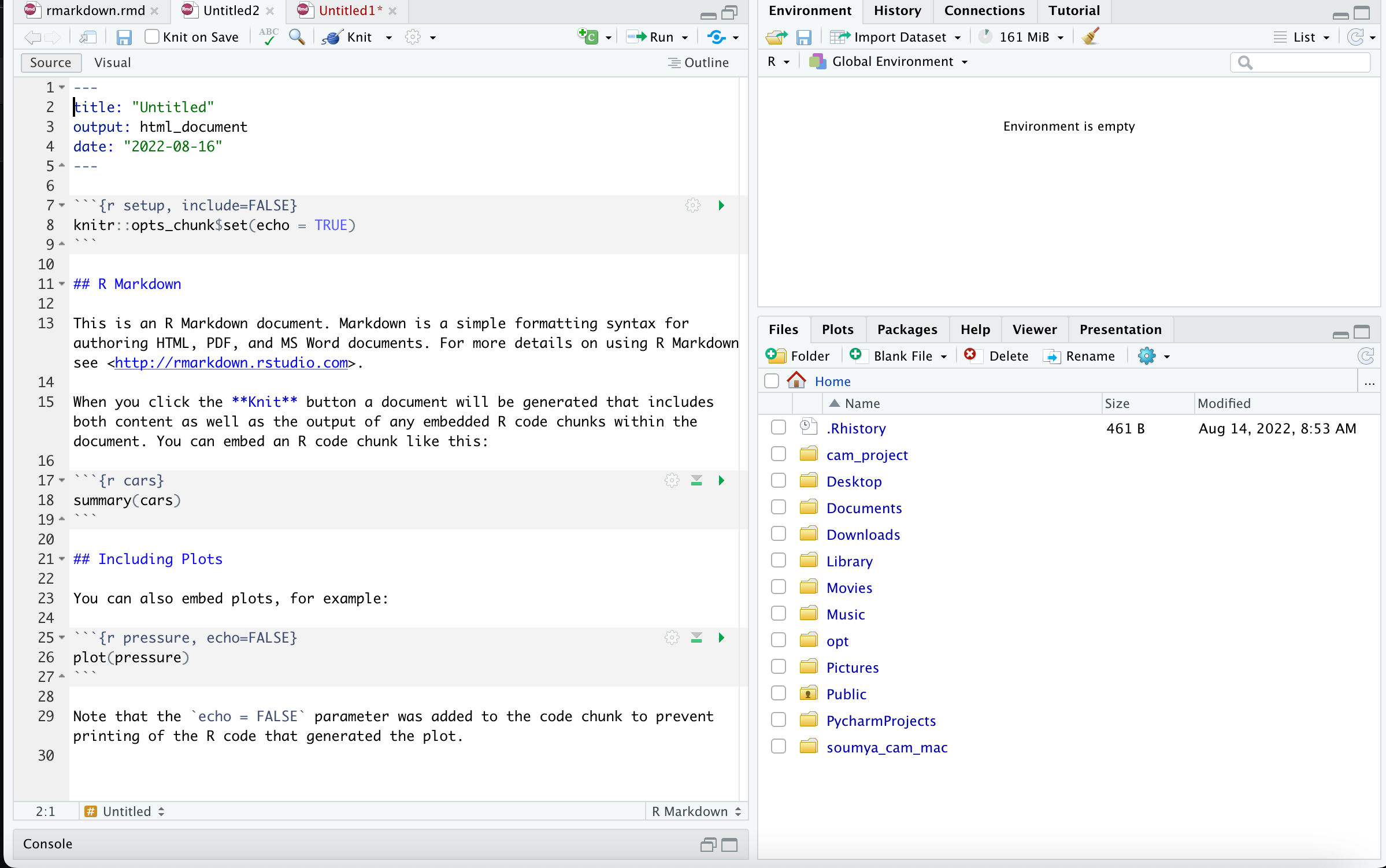 Schematic of R markdown